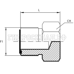 Заглушка ORFS(ш) 1.7/16" (Vitillo SPA)