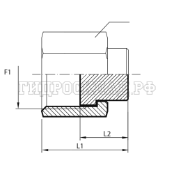 Заглушка ORFS(г) 11/16" (Vitillo SPA)