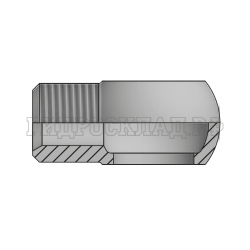 Адаптер BANJO(BSP) 3/8" - DK(ш) 14X1.5 sv60° (Vitillo SPA)