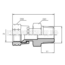 Адаптер  JIC(г) 1/2" - BSPT(ш) 1/4" (Vitillo SPA)