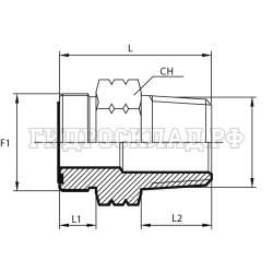 Адаптер ORFS(ш) 1.11/16" - BSPP(F) 1.1/4" (Vitillo SPA)
