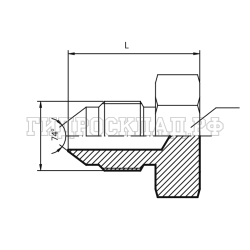Заглушка JIC(ш) 1.1/16" (Vitillo SPA)