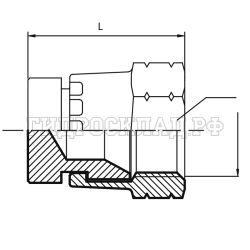 Заглушка JIC(г) 1/2" (Vitillo SPA)