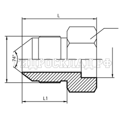 Адаптер JIC(ш) 1/2" - P= 8 под сварку (Vitillo SPA)