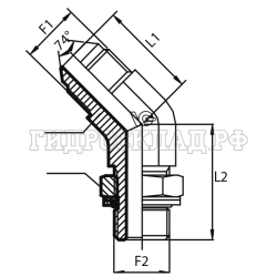 Адаптер 45° JIC(ш) 1.1/16" - BSPP(ш) 1" o.r.+ контргайка (Vitillo SPA)