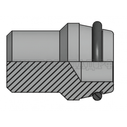 Заглушка DKOS(nippel) P=25 - L=29 (RASTELLI  RACCORDI s.r.l.)