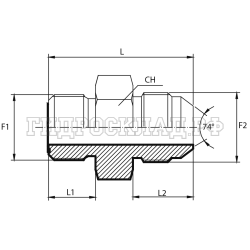 Адаптер ORFS(ш) 11/16" - JIC(ш) 9/16" (Vitillo SPA)