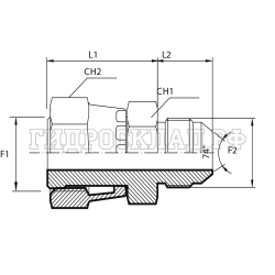 Адаптер ORFS(г) 11/16" - JIC(ш) 1/2" (Vitillo SPA)