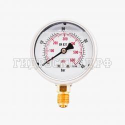 Манометр 63мм 0-40 бар  G1/4 (снизу) (Китай)