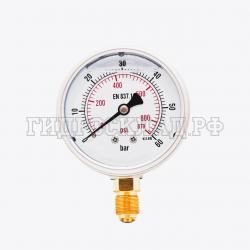 Манометр 63мм 0-60 бар  G1/4 (снизу) (Китай)