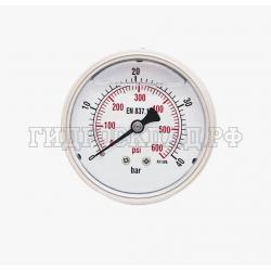 Манометр 63мм 0-40 бар  G1/4 (сзади) (Китай)