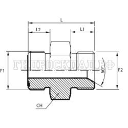 Адаптер ORFS(ш) 1.11/16" - BSP(ш) 1.1/4" SV 60° (Китай)