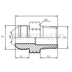 Адаптер  JIC(ш) 1.5/16" - NPT(ш) 1/2" (Vitillo SPA)